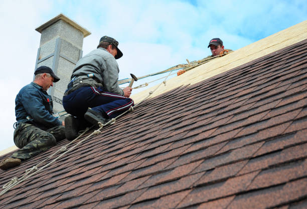 Best Shingle Roofing Installation  in Forsyth, MO